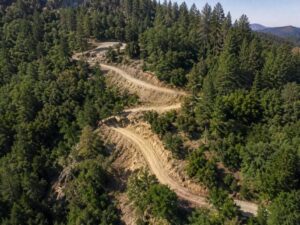 Aerial view of a winding driveway route through dense trees on a steep foothill property
